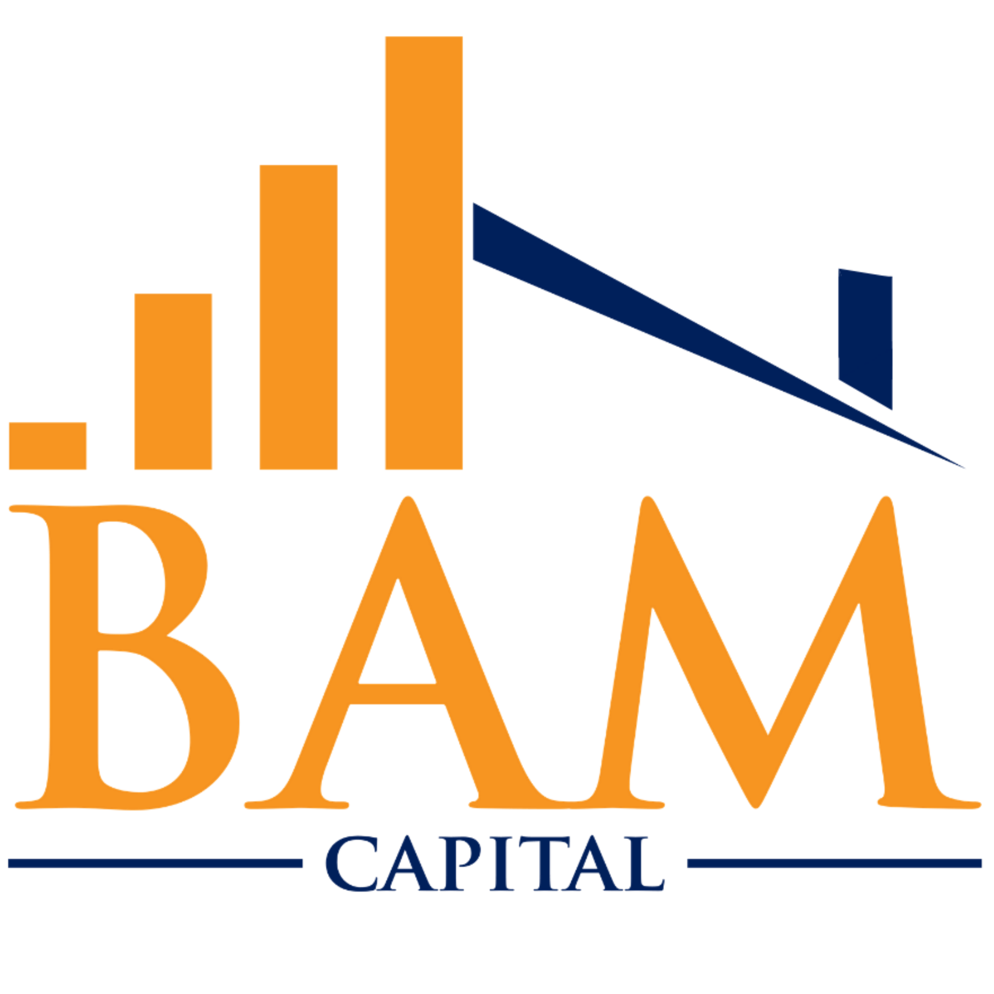 BAM Capital Full Color