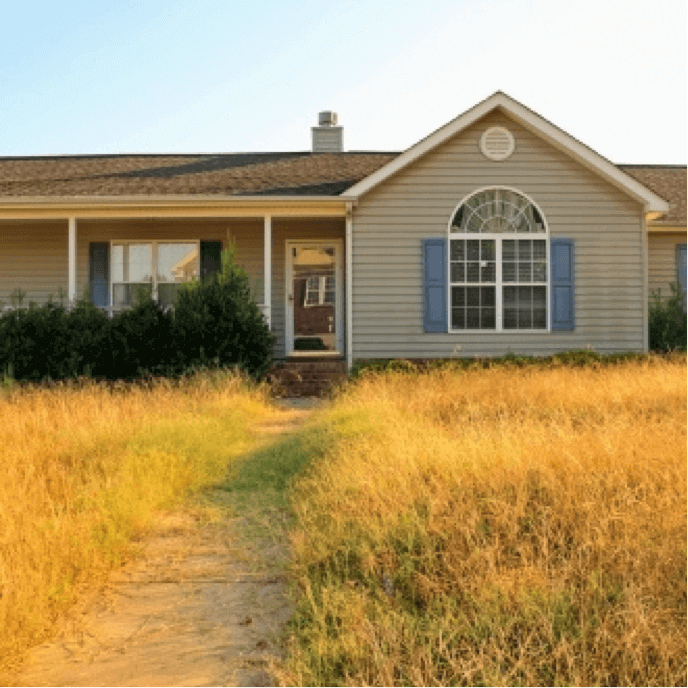 residential real estate with an overgrown lawn