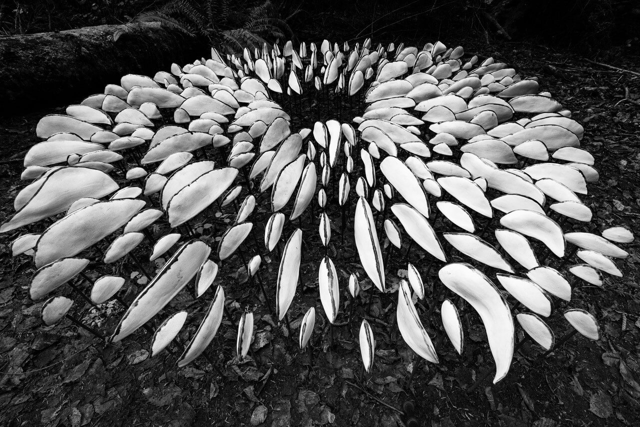 Lichen Series Spore Patterns by Jenni Ward at Price Sculpture Forest - photo by Jann Ledbetter-1