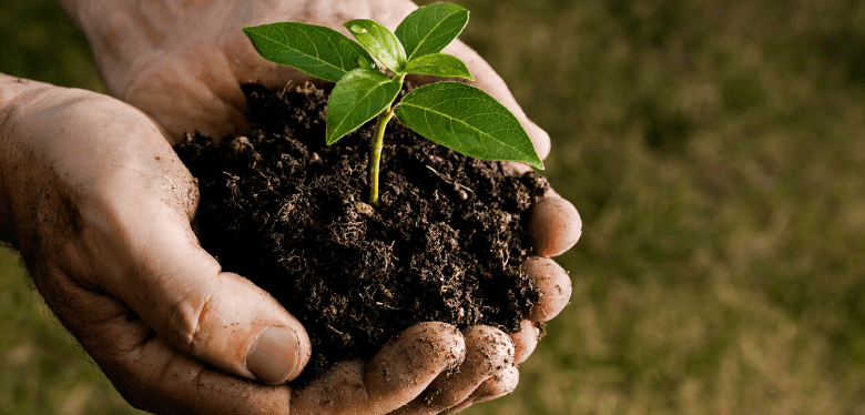 Building Lifelong Wealth